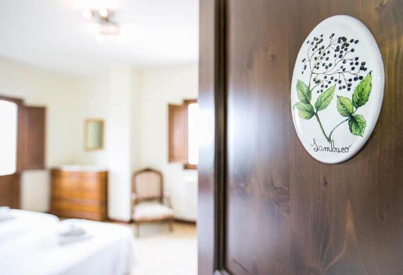 Bed and Breakfast Casina Margherita