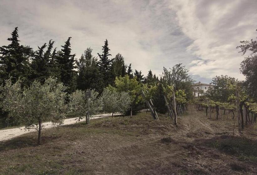 Bed and Breakfast Casina Margherita