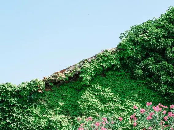 Aamiaismajoitus (B&B) La Barchessa