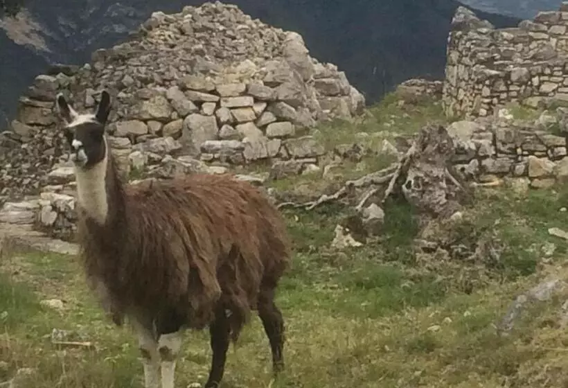 ホテル Ekokuelap Lodge Y Turismo Alternativo