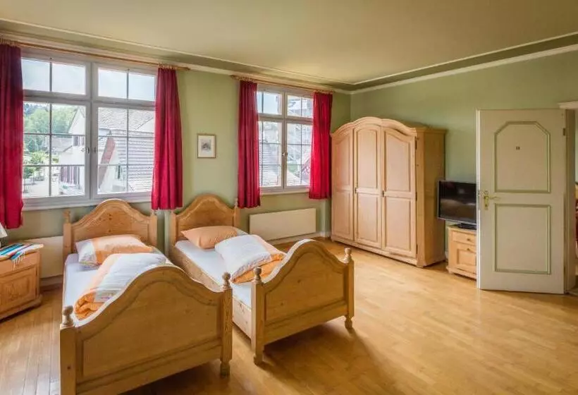 ホテル Gasthof Zur Traube