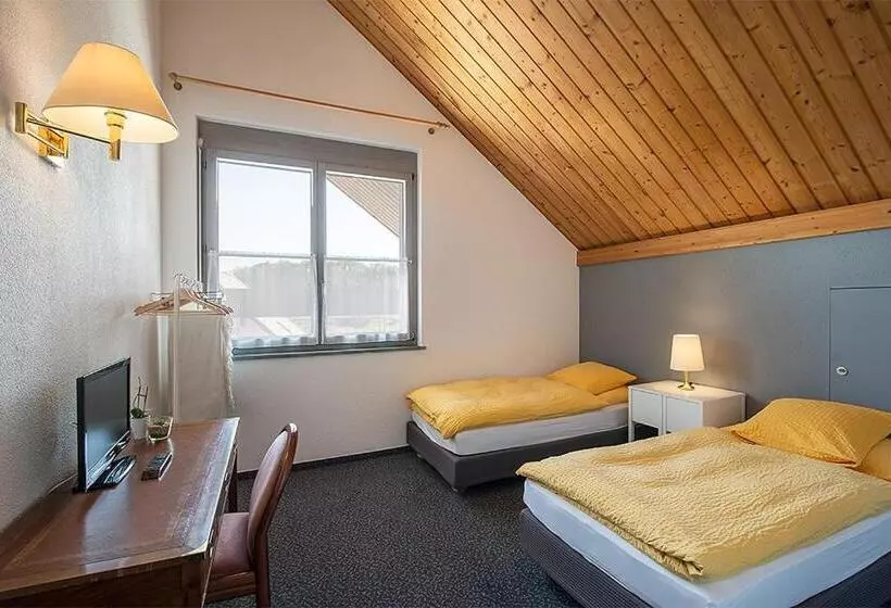 Hotel Hôtel La Croix Blanche