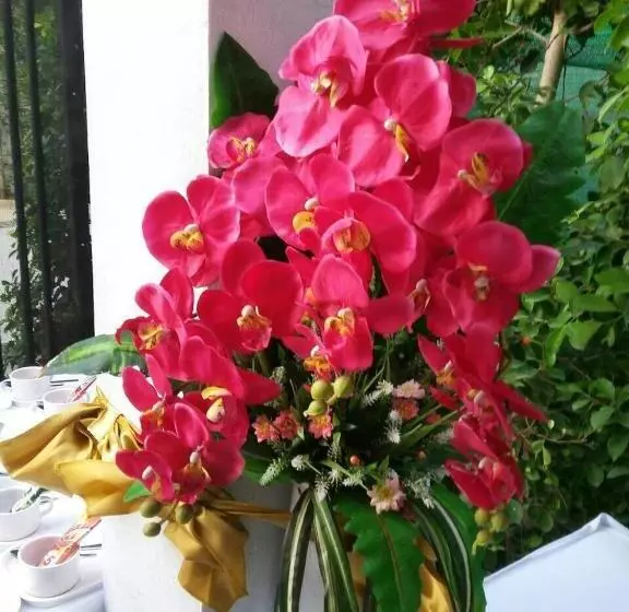 ホテル Me2 Singhamuntra Resort Kamphaengsaen