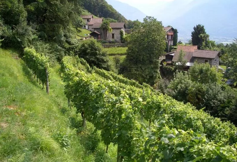 ホテル Tenuta Casa Cima   Tenutacasacima Com