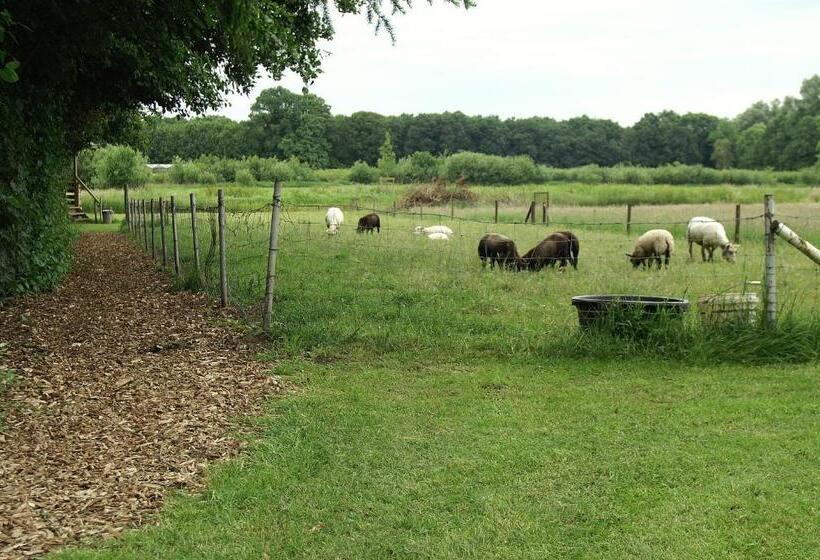 בית מלון כפרי Vakantie Meerlo