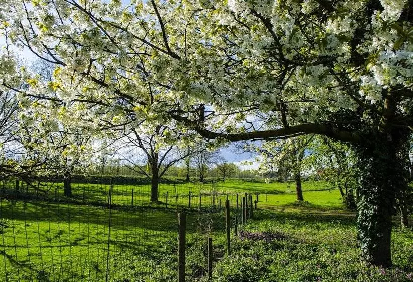 Hotelli Vakantie Meerlo