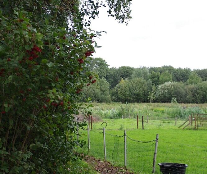 בית מלון כפרי Vakantie Meerlo