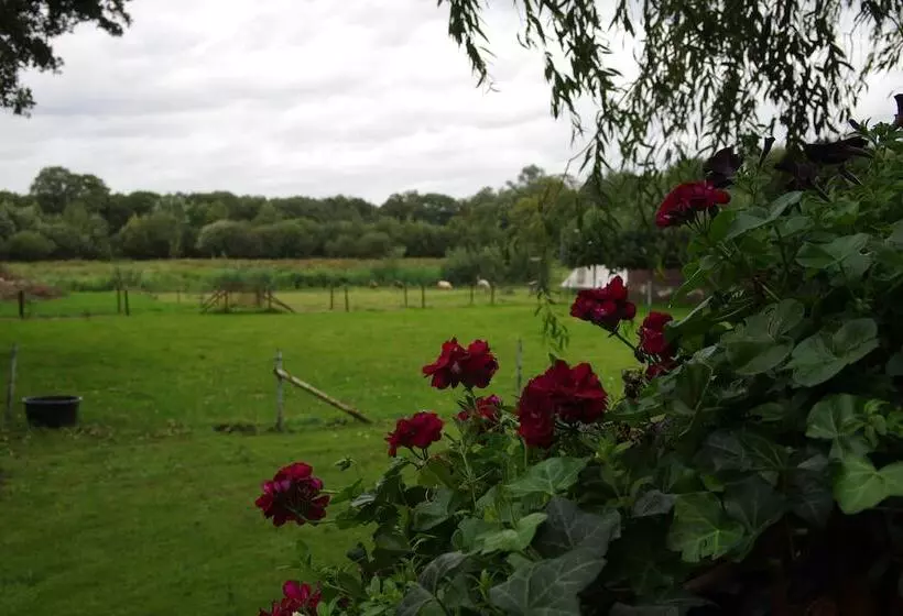 Hotelli Vakantie Meerlo