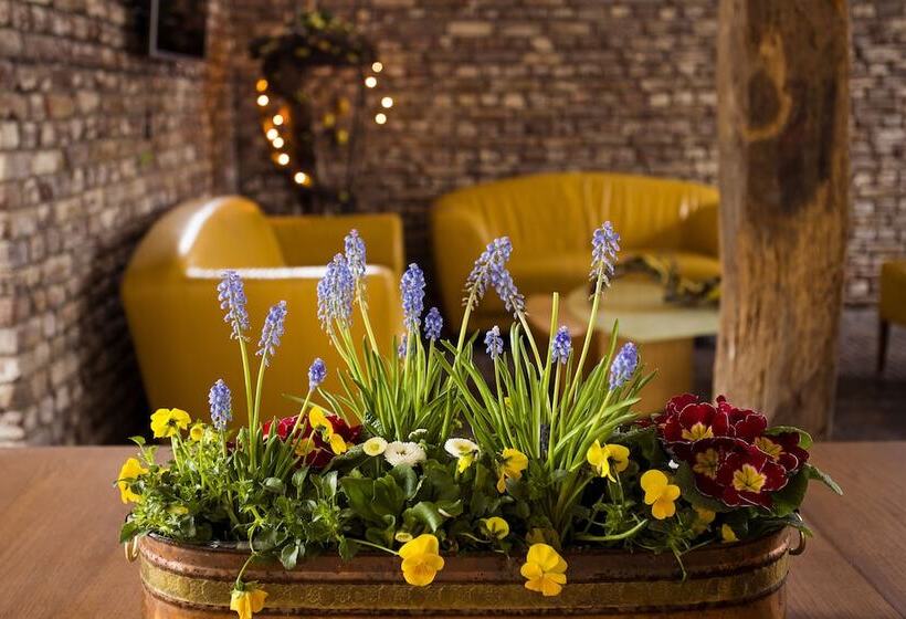 בית מלון כפרי Vakantie Meerlo