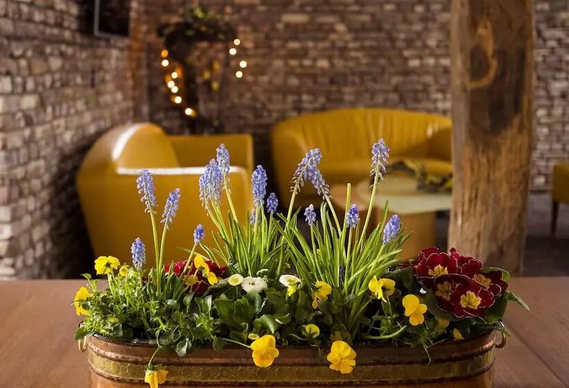 Hotelli Vakantie Meerlo