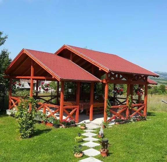 Nárcisz B&b