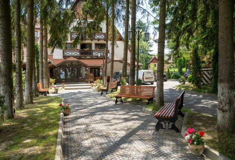 بنسيون Arcso Fogado