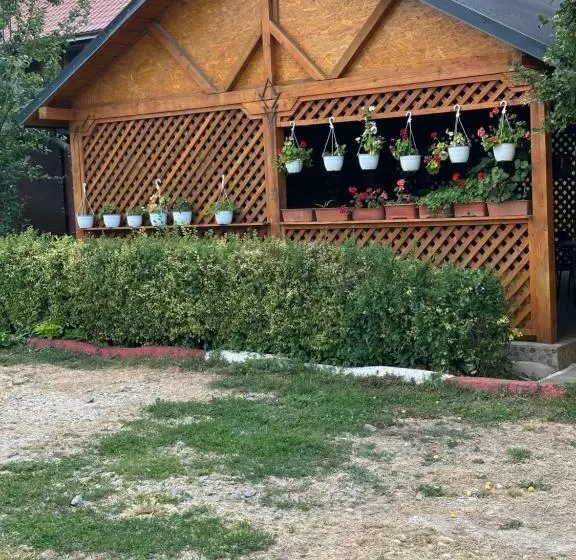 ペンション Casa Cu Flori Corbu