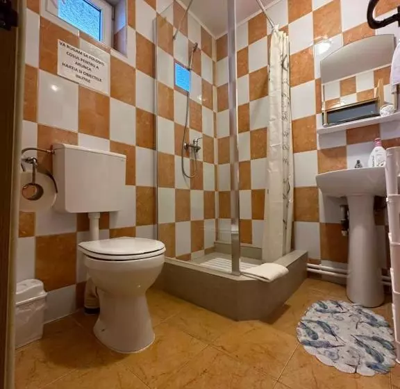 ペンション Casa Cu Flori Corbu