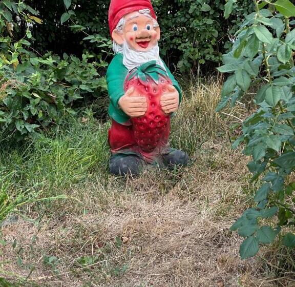 پانسیون Casa Cu Flori Corbu