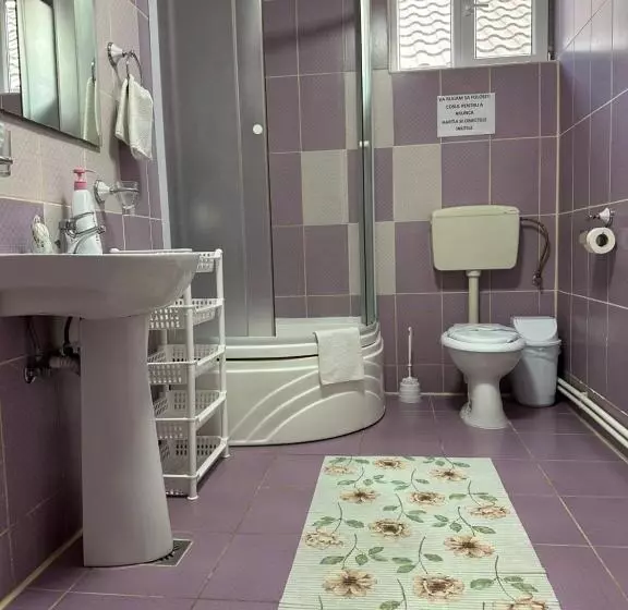 ペンション Casa Cu Flori Corbu
