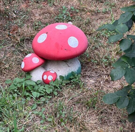 پانسیون Casa Cu Flori Corbu