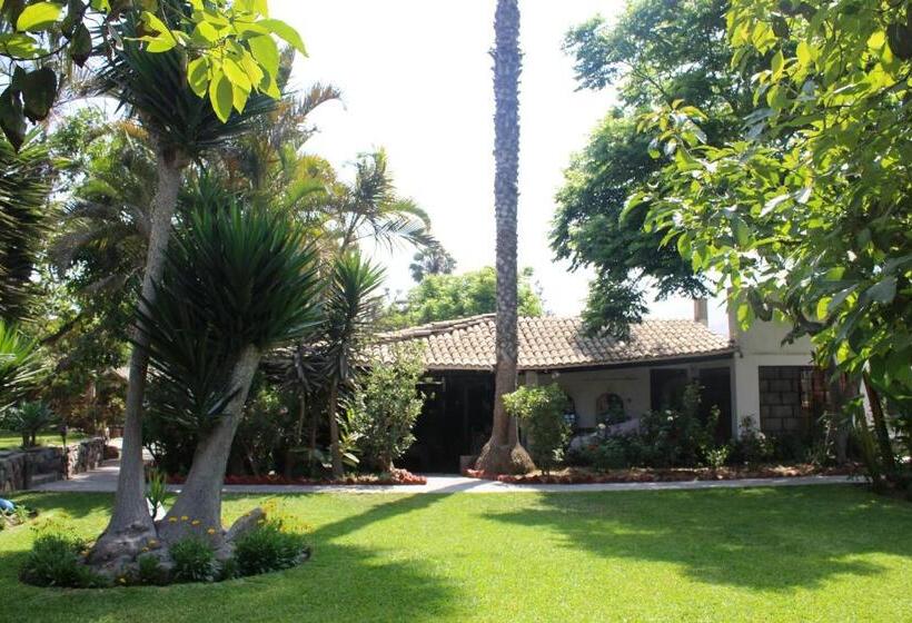 Pension Casa Del Gringo