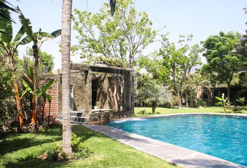 Pension Casa Del Gringo