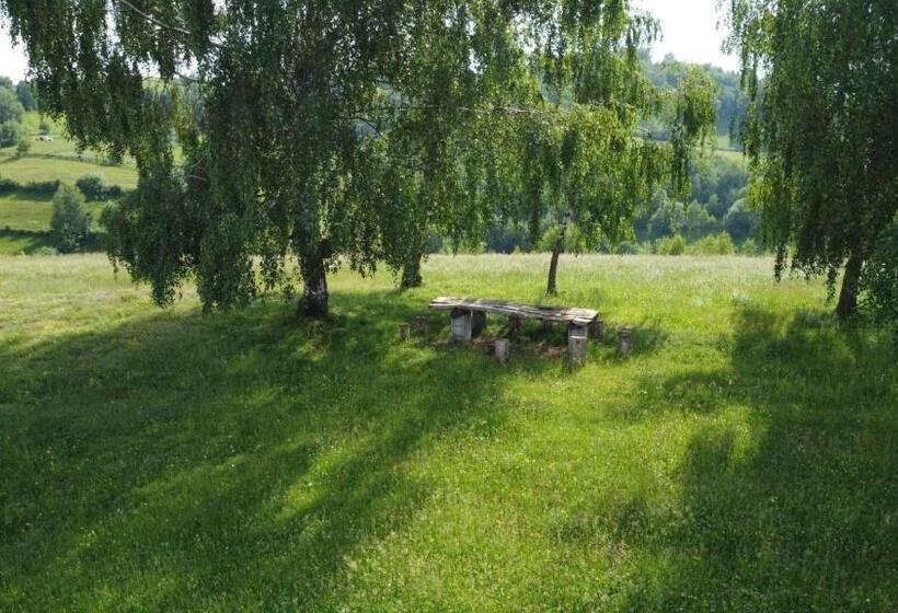 ペンション Casa Iancu