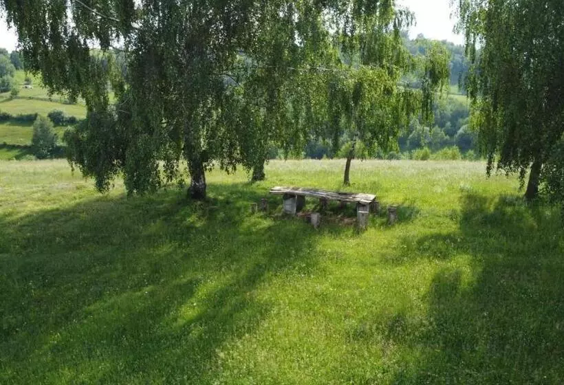 پانسیون Casa Iancu