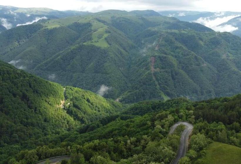 ペンション Casa Iancu