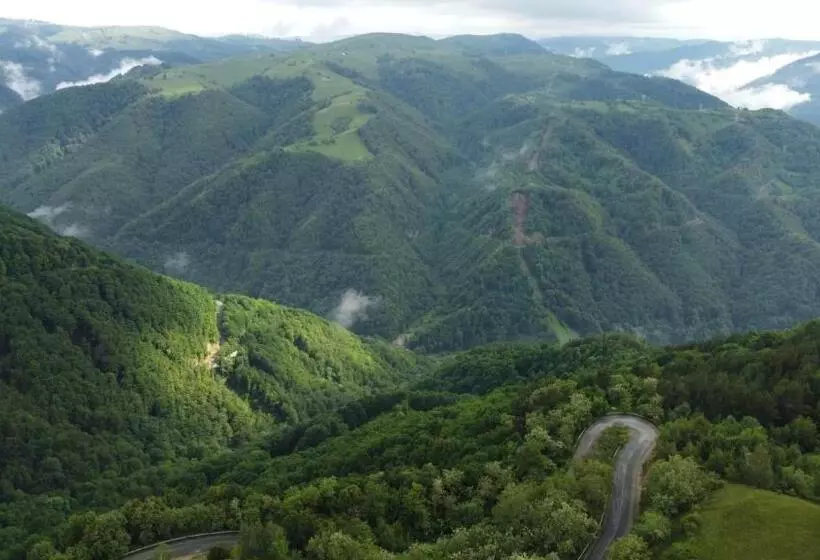 پانسیون Casa Iancu