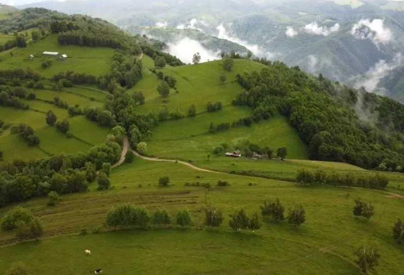 پانسیون Casa Iancu