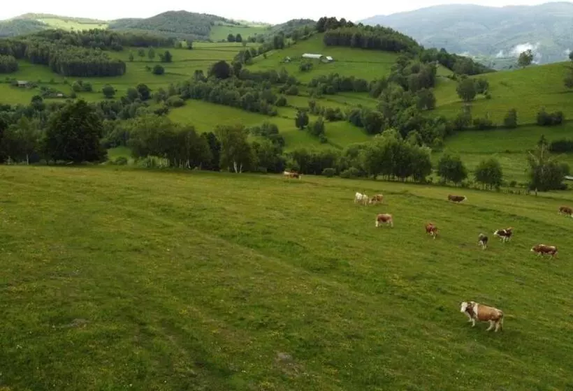 پانسیون Casa Iancu