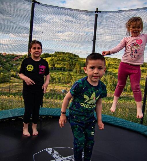 ペンション Casa Iancu