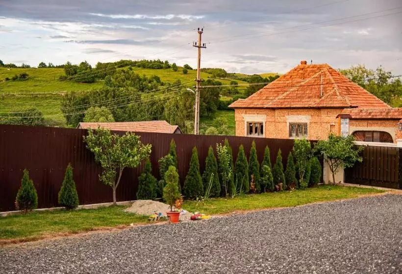 پانسیون Casa Iancu