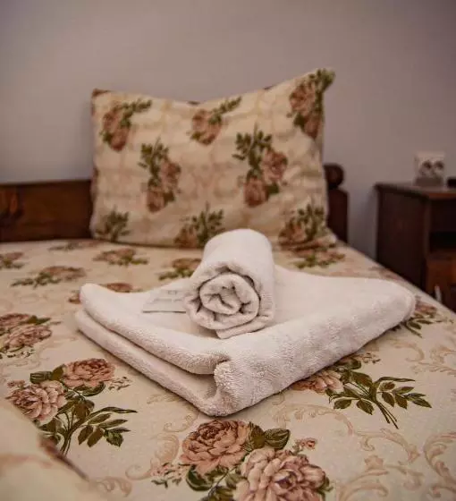 پانسیون Casa Iancu