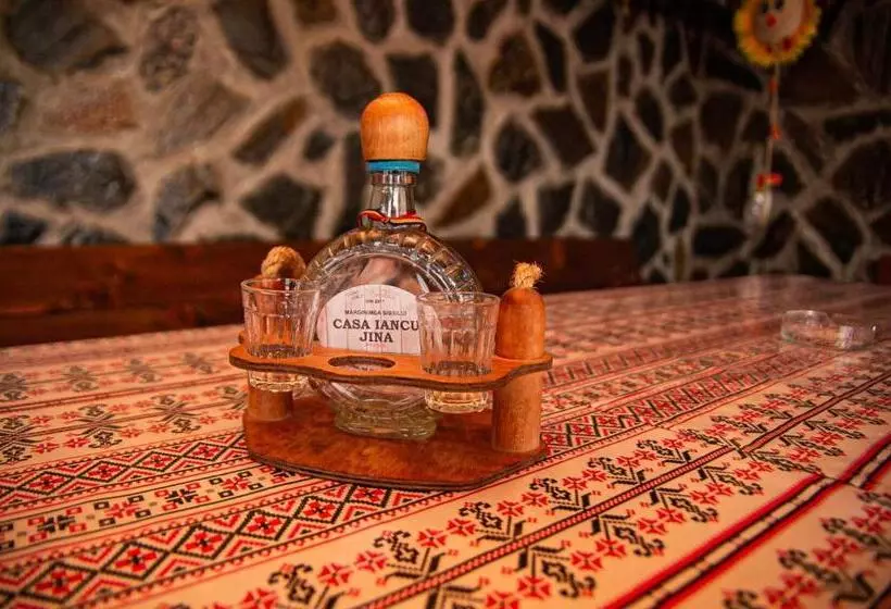 پانسیون Casa Iancu