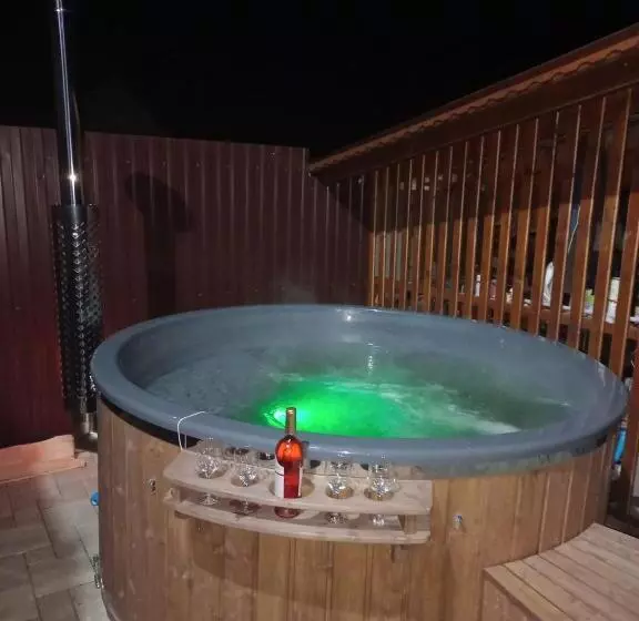 پانسیون Casa Iancu