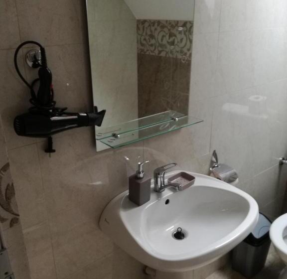 ペンション Casa Iancu