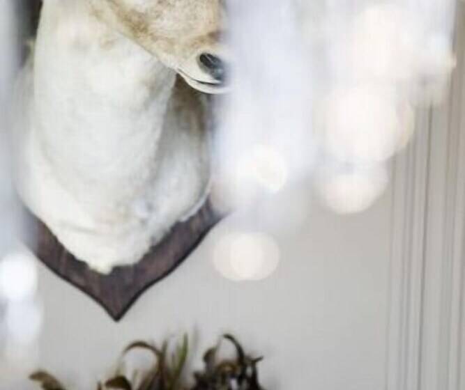 بنسيون Inn On The Lake