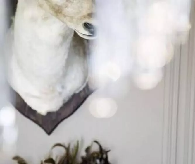 Majatalo Inn On The Lake