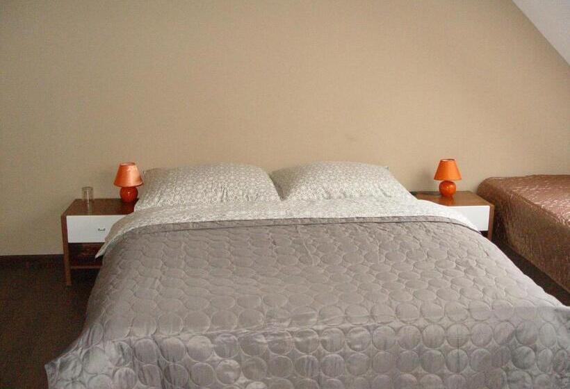 ペンション Penzion Zlaty Orol