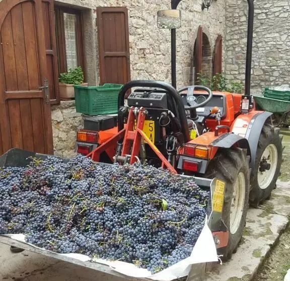 ペンション Tuscan Hilltop