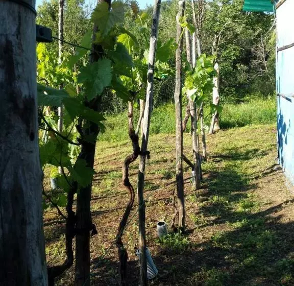 ペンション Tuscan Hilltop