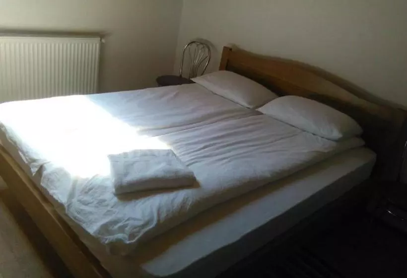 Pensiunea Casa Szabi