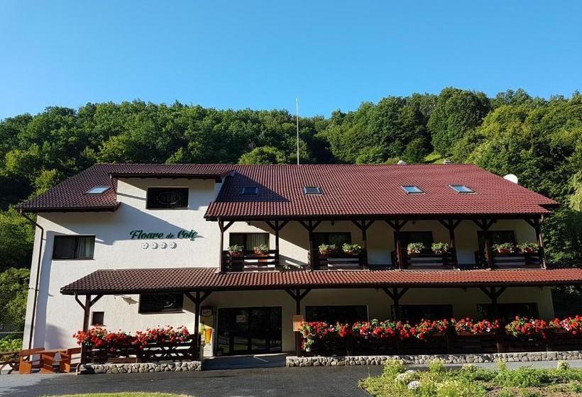 Pensiunea Floare De Colt