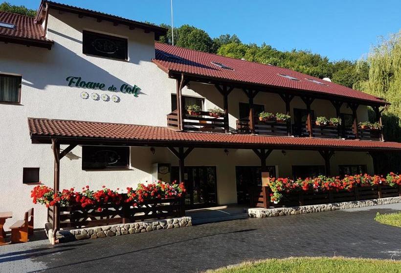 Pensiunea Floare De Colt