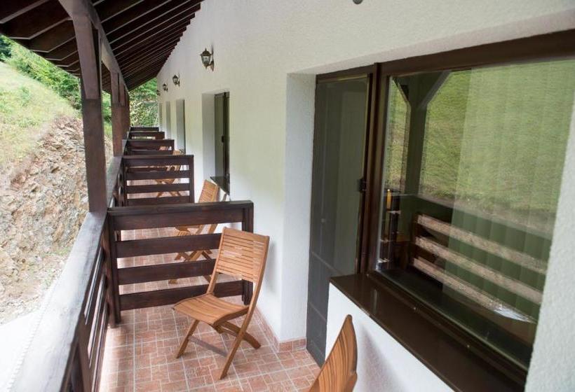 Pensiunea Floare De Colt