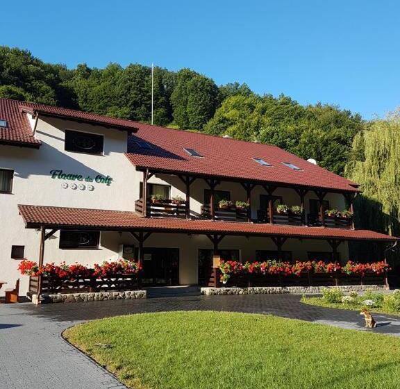 Pensiunea Floare De Colt