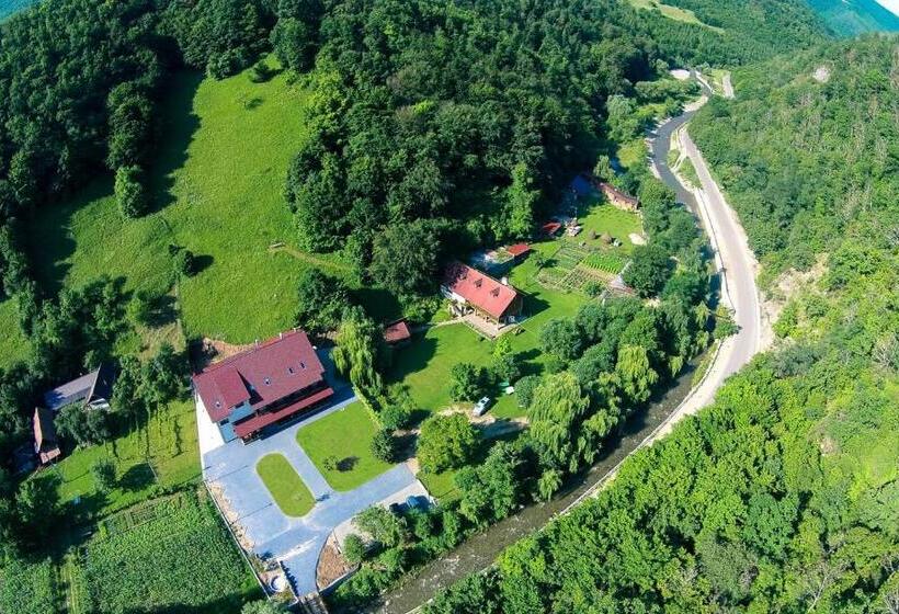 Pensiunea Floare De Colt