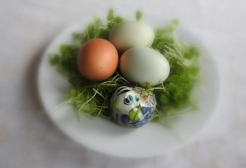 The Empty Nest B & B