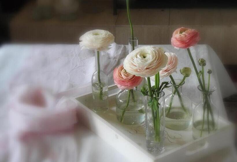 The Empty Nest B & B