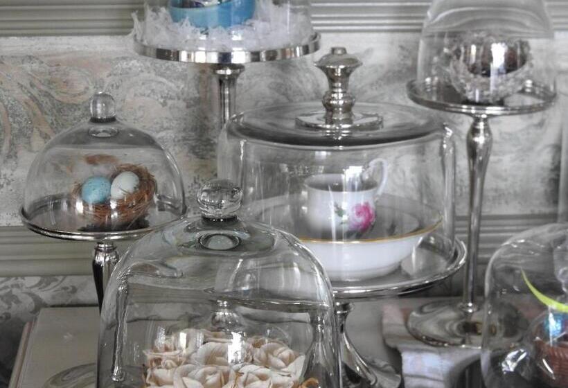 The Empty Nest B & B