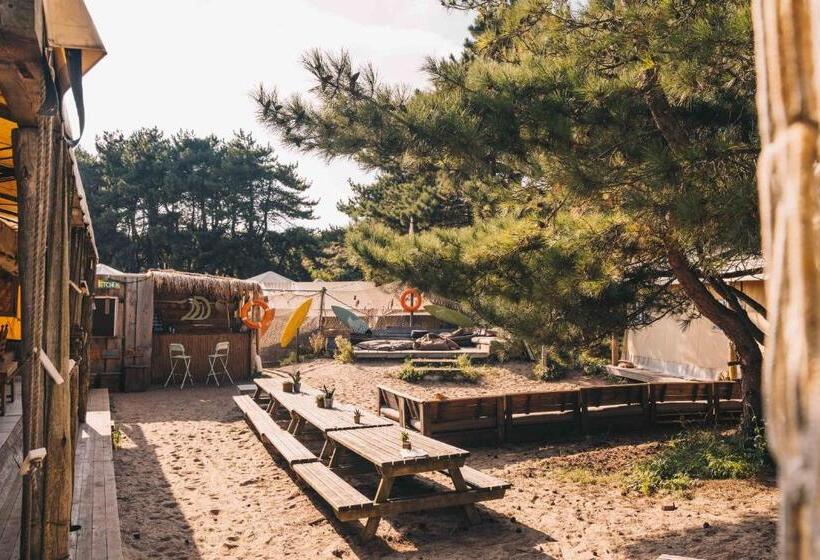 Общежитие Surfana Beach Bed & Breakfast Bloemendaal